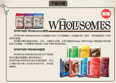 四家工廠因嚴重違規收到FDA警告信，寵物食品安全警鐘再鳴